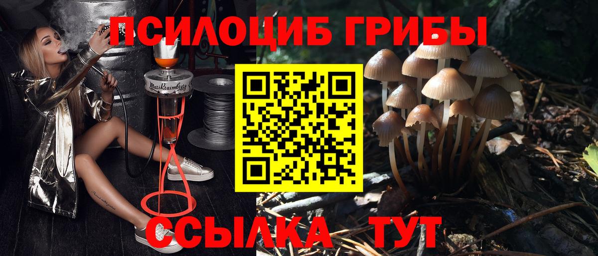 Псилоцибиновые грибы Psilocybine cubensis Назрань