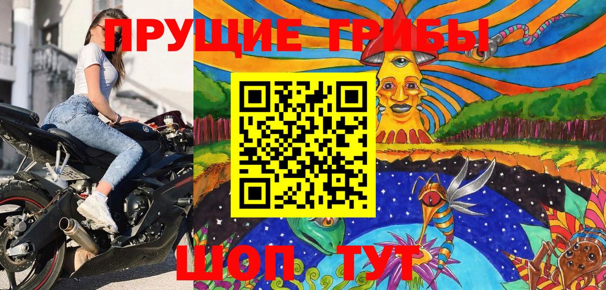 Назрань  Псилоцибиновые грибы прущие грибы  Псилоцибиновые грибы Cubensis  Вход с VPN 